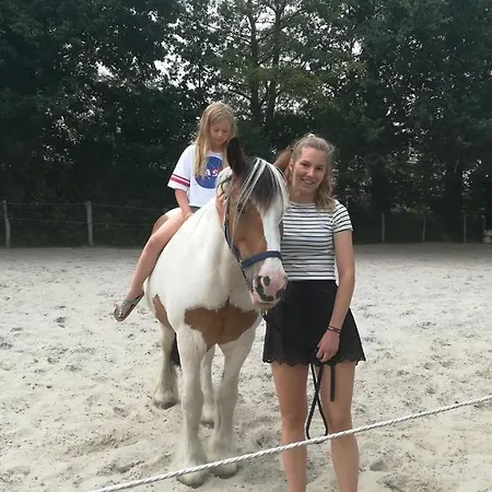 アパート Welsch 2 *